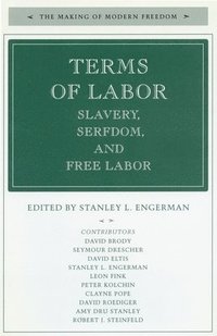 bokomslag Terms of Labor