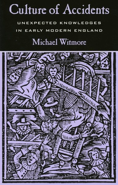 Michael Witmore - Culture of Accidents, Inbunden