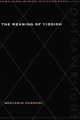 The Meaning of Yiddish 1