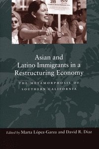 bokomslag Asian and Latino Immigrants in a Restructuring Economy