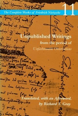 Unpublished Writings from the Period of Unfashionable Observations 1