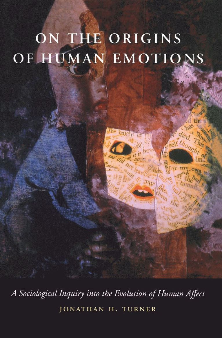 On the Origins of Human Emotions 1