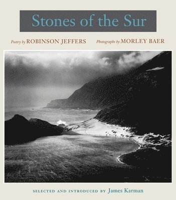 bokomslag Stones of the Sur