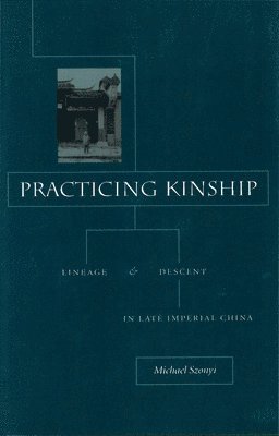 bokomslag Practicing Kinship