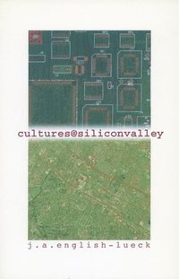 bokomslag Cultures@SiliconValley