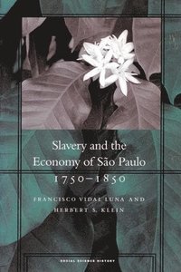 bokomslag Slavery and the Economy of So Paulo, 1750-1850
