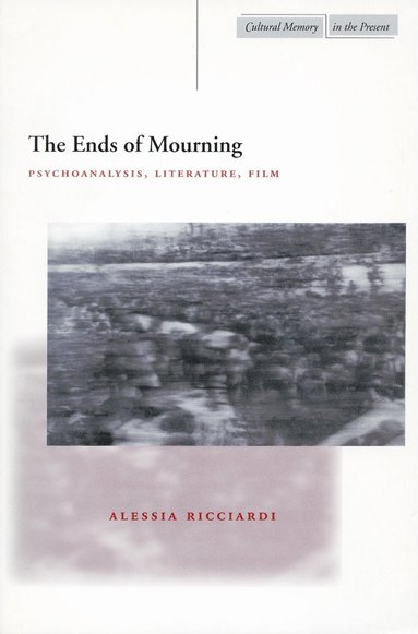 bokomslag Ends of Mourning