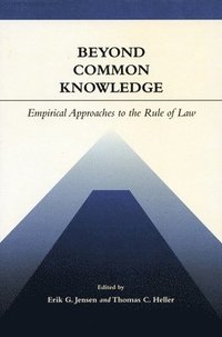 bokomslag Beyond Common Knowledge