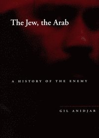 bokomslag The Jew, the Arab