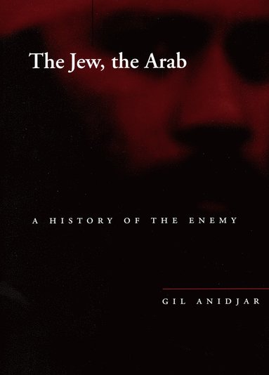 bokomslag Jew, the Arab