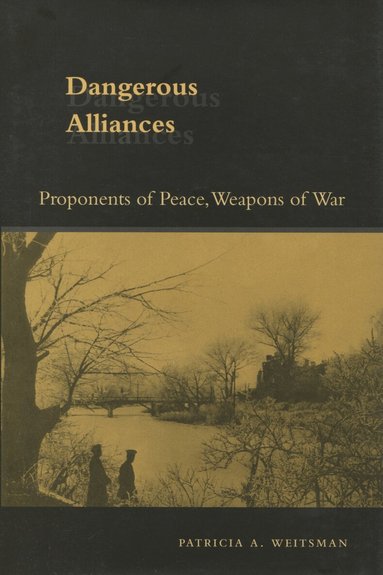 Patricia A. Weitsman - Dangerous Alliances, Inbunden