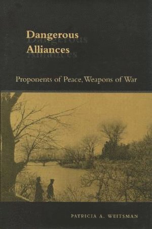 Patricia A. Weitsman, Patricia A Weitsman - Dangerous Alliances, Inbunden