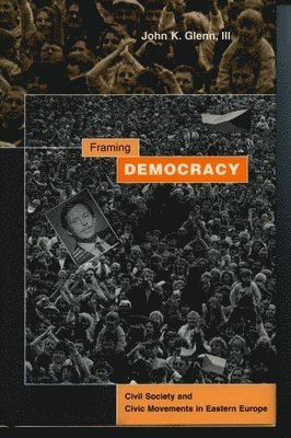 bokomslag Framing Democracy