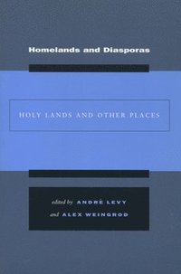 bokomslag Homelands and Diasporas