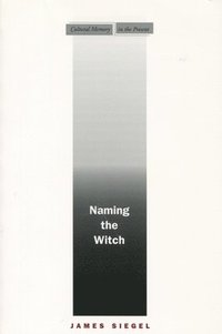 bokomslag Naming the Witch