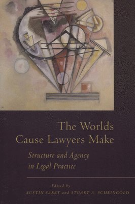 bokomslag The Worlds Cause Lawyers Make