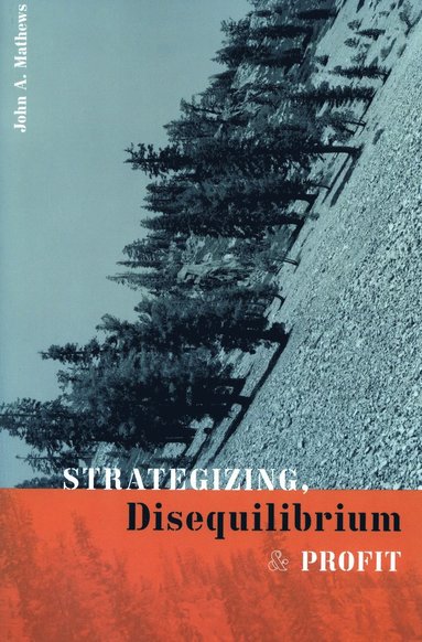 bokomslag Strategizing, Disequilibrium, and Profit