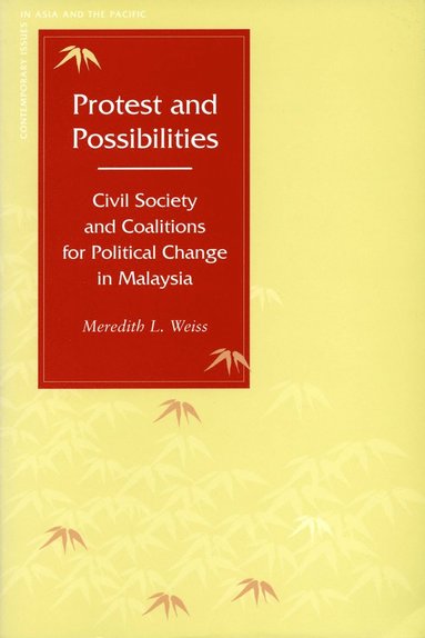 bokomslag Protest and Possibilities