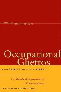 bokomslag Occupational Ghettos