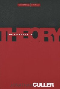 bokomslag The Literary in Theory