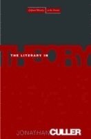 bokomslag The Literary in Theory