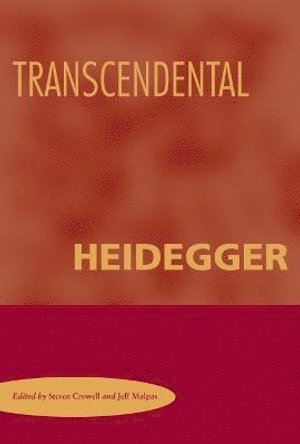 Transcendental Heidegger