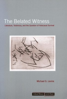 The Belated Witness 1