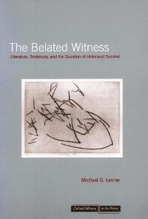 Michael G. Levine, Michael G Levine - Belated Witness, Häftad
