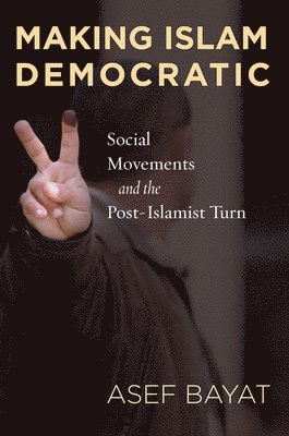 bokomslag Making Islam Democratic