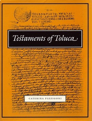 bokomslag Testaments of Toluca