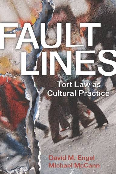 David M. Engel, Michael McCann - Fault Lines, Inbunden