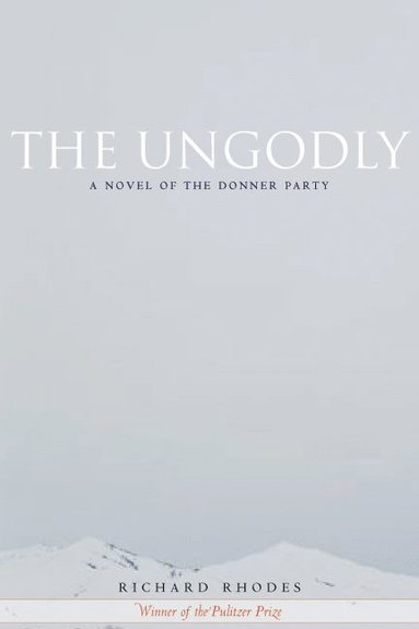 bokomslag Ungodly