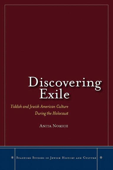 bokomslag Discovering Exile