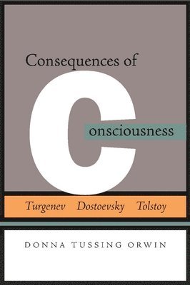 bokomslag Consequences of Consciousness