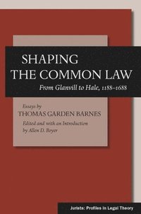 bokomslag Shaping the Common Law