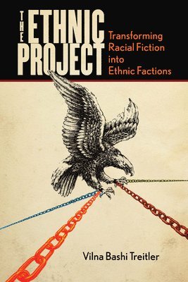 Vilna Bashi Treitler - Ethnic Project, Inbunden