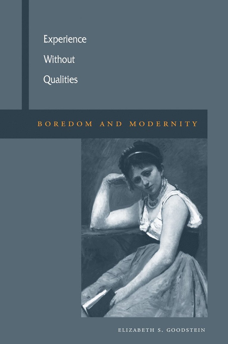 Elizabeth S. Goodstein, Elizabeth S Goodstein - Experience Without Qualities, Häftad