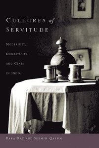bokomslag Cultures of Servitude