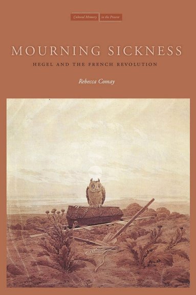 Rebecca Comay - Mourning Sickness, Inbunden
