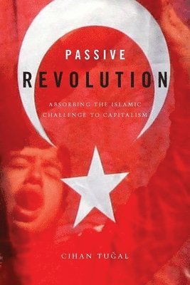 bokomslag Passive Revolution