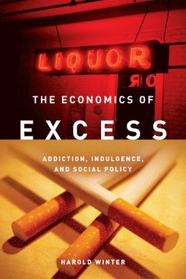 bokomslag The Economics of Excess