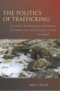 bokomslag The Politics of Trafficking