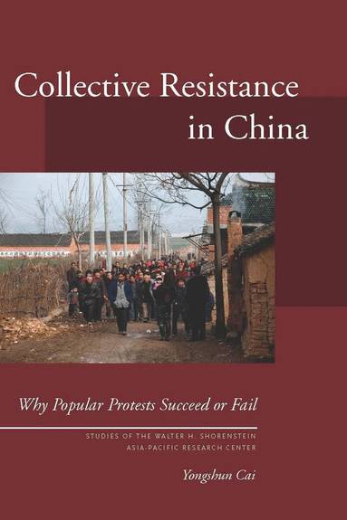 Yongshun Cai - Collective Resistance in China, Inbunden