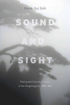 Sound and Sight 1