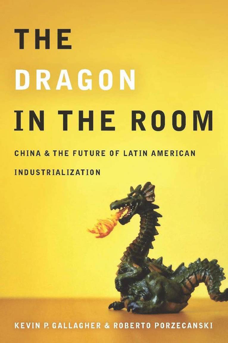Kevin Gallagher, Roberto Porzecanski - Dragon in the Room, Häftad