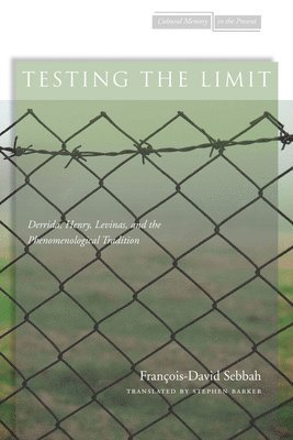 François-David Sebbah - Testing the Limit, Häftad