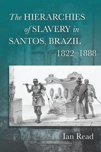 bokomslag The Hierarchies of Slavery in Santos, Brazil, 18221888