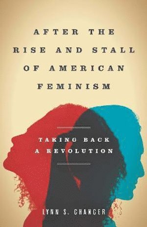 Lynn S. Chancer, Lynn S Chancer - After the Rise and Stall of American Feminism, Inbunden