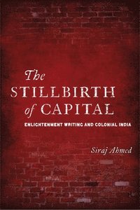 bokomslag The Stillbirth of Capital