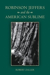 bokomslag Robinson Jeffers and the American Sublime